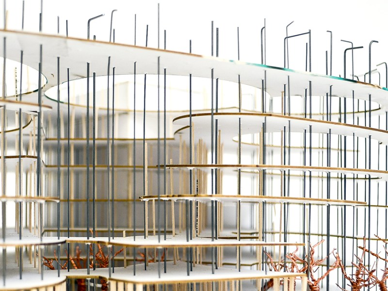 Stories from the Field: Karen Seong’s Interview with Pathways to&nbsp;Equity